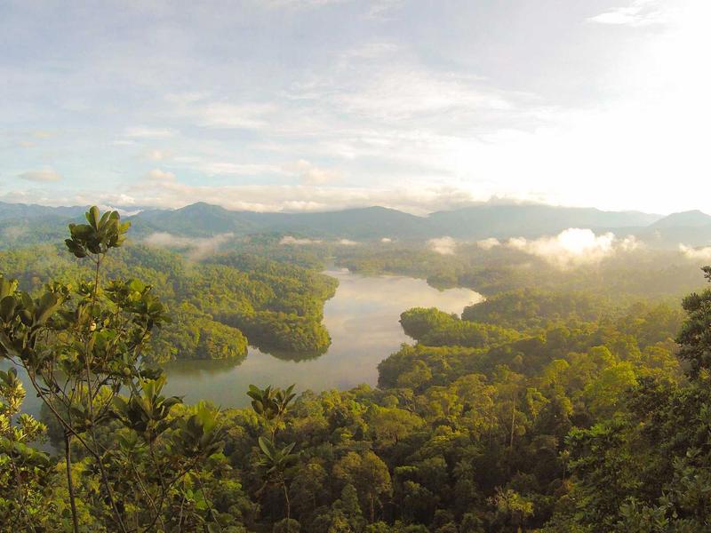 立体主义解构<br>btozrgo.cn 毕加索格尔尼卡